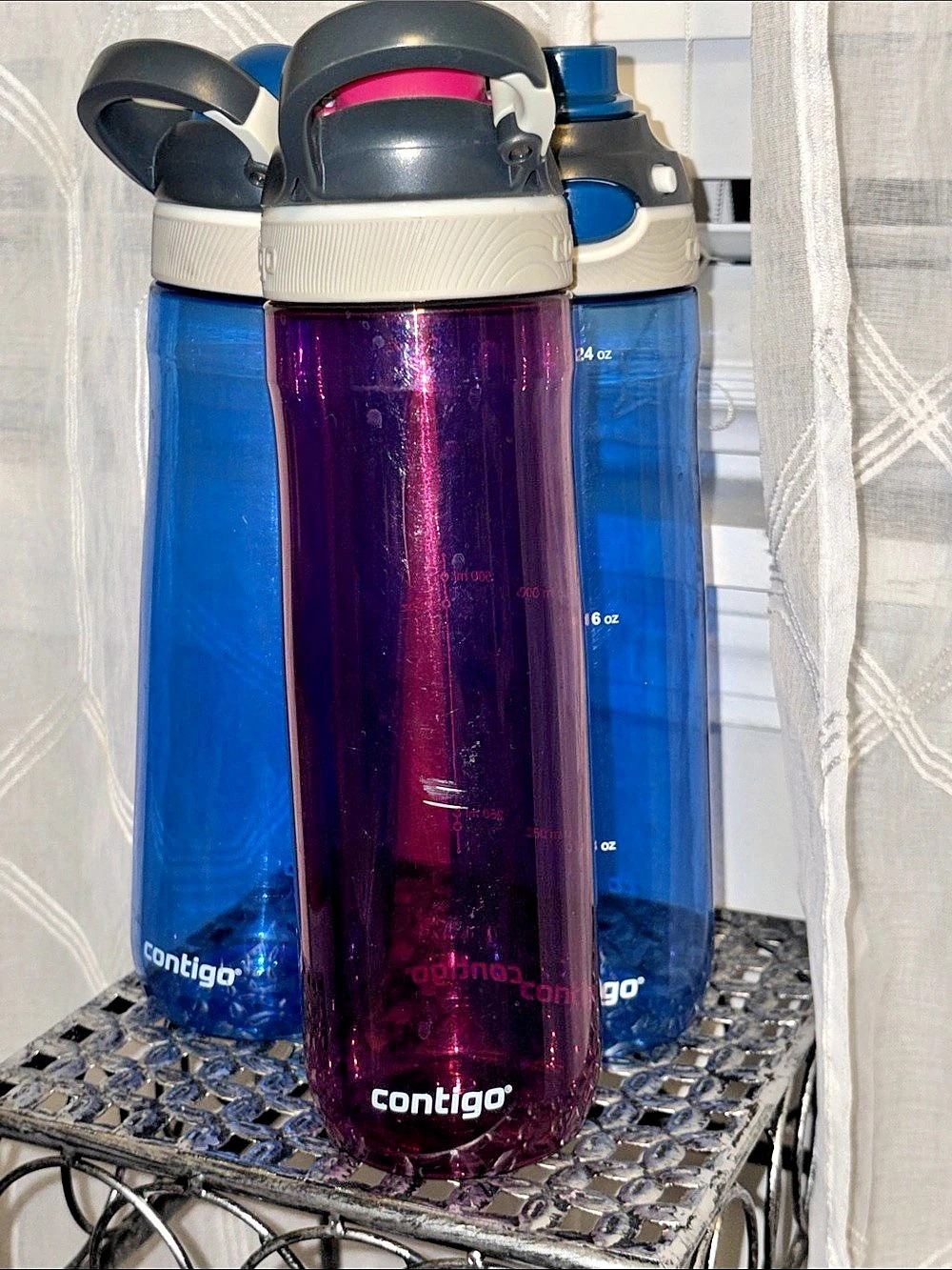 3 bundle Contigo Ashland Autospout Water Bottle Set Purple & 2 Blue